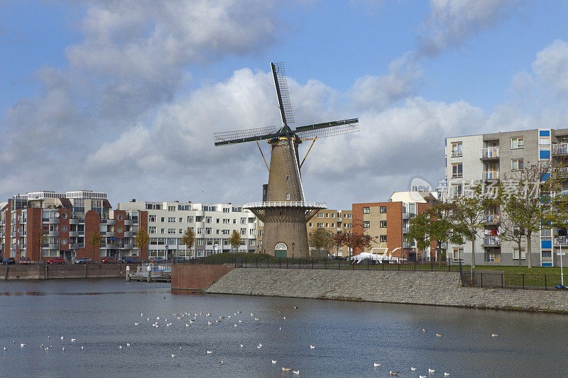 鹿特丹的Delfshaven和它的特色“De Distilleerketel”风车